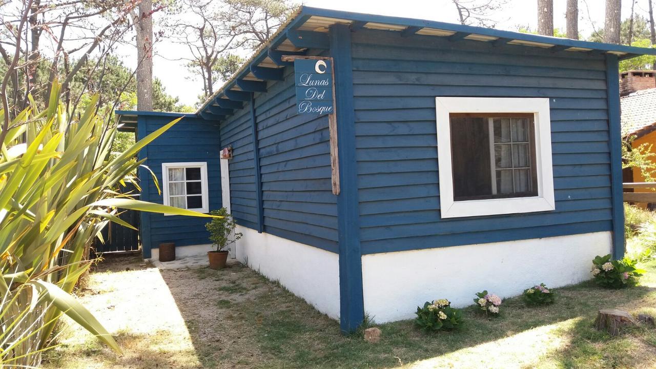 Lunas Del Bosque Cabana Y Apartamento En Suite La Paloma Exteriér fotografie